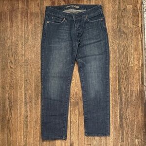 American Eagle Outfitters Blue Straight Jeans with Vintage Wash